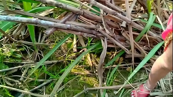 Brother-in-law took the native plain-clothed sister-in-law behind the bush of the forest and fucked her.